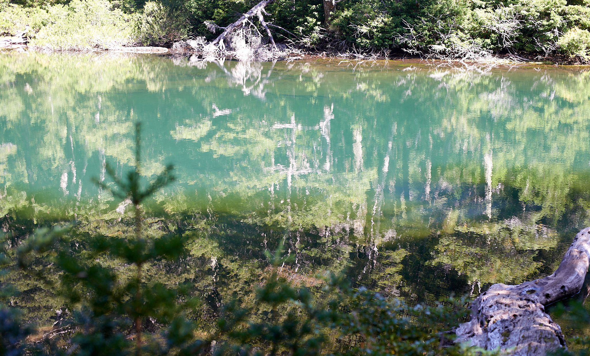 20200317 884 [칠레] 푸콘 우에르케우에 국립공원 트레킹